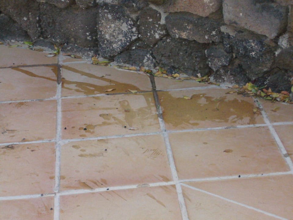 Überall in den Durchgängen Apartments Galeon Playa