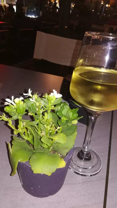 Gastro Albatros Spa & Resort Hotel