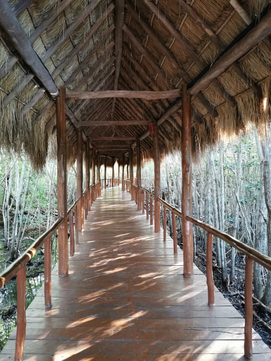 Sonstiges TRS Yucatan Hotel - Adults only