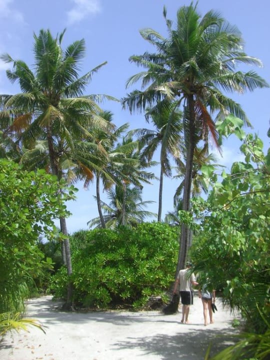 Auf dem Weg zur Sandbank Kuramathi Maldives