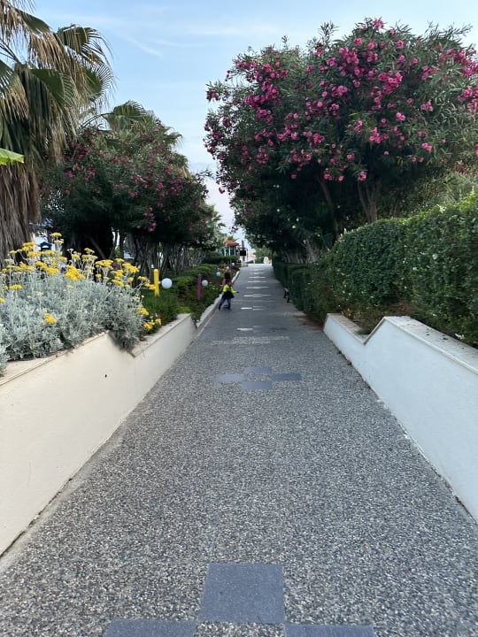 Gartenanlage VONRESORT Golden Coast