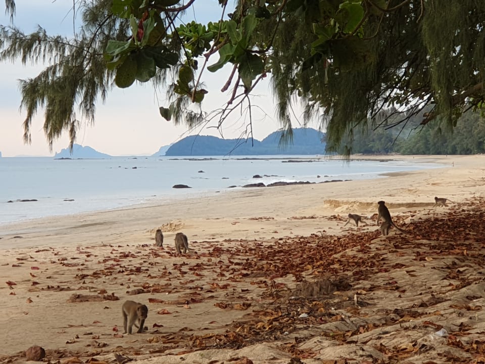 Strand Koh Jum Delight Beach