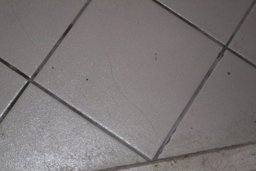 Sauber Amadria Park Ivan