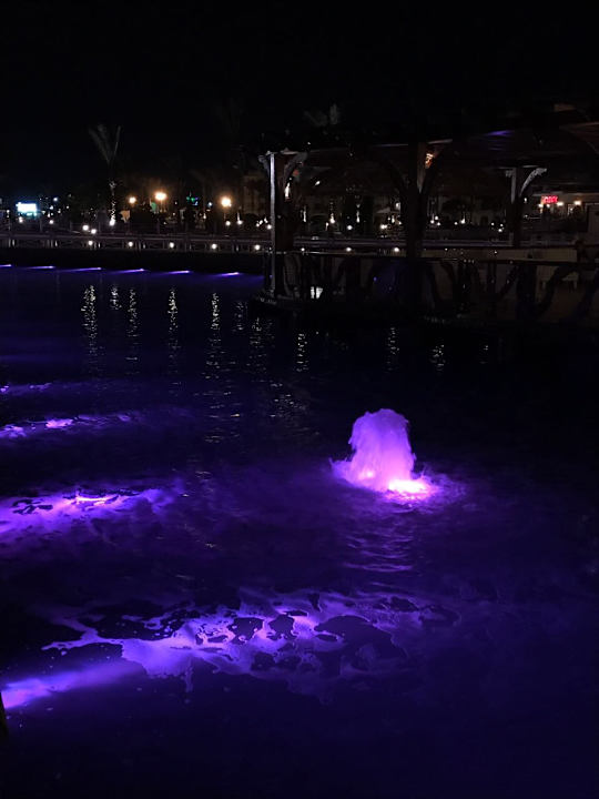 Gartenanlage Pickalbatros Dana Beach Resort - Hurghada