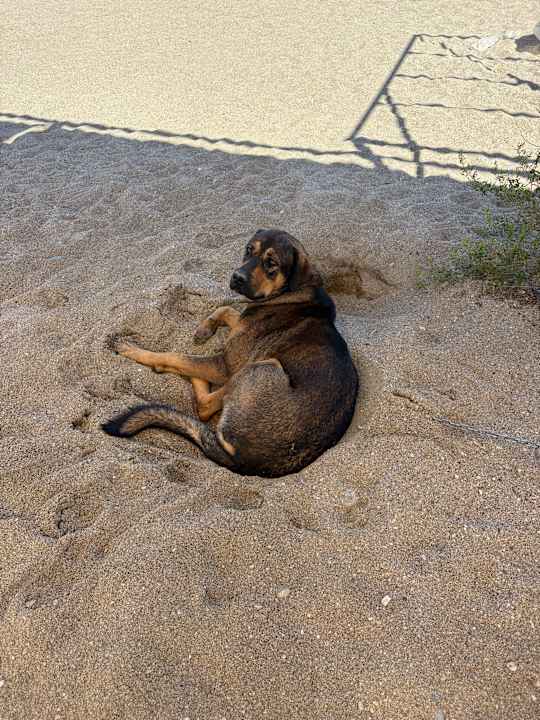 Sonstiges Sunmelia Beach Resort