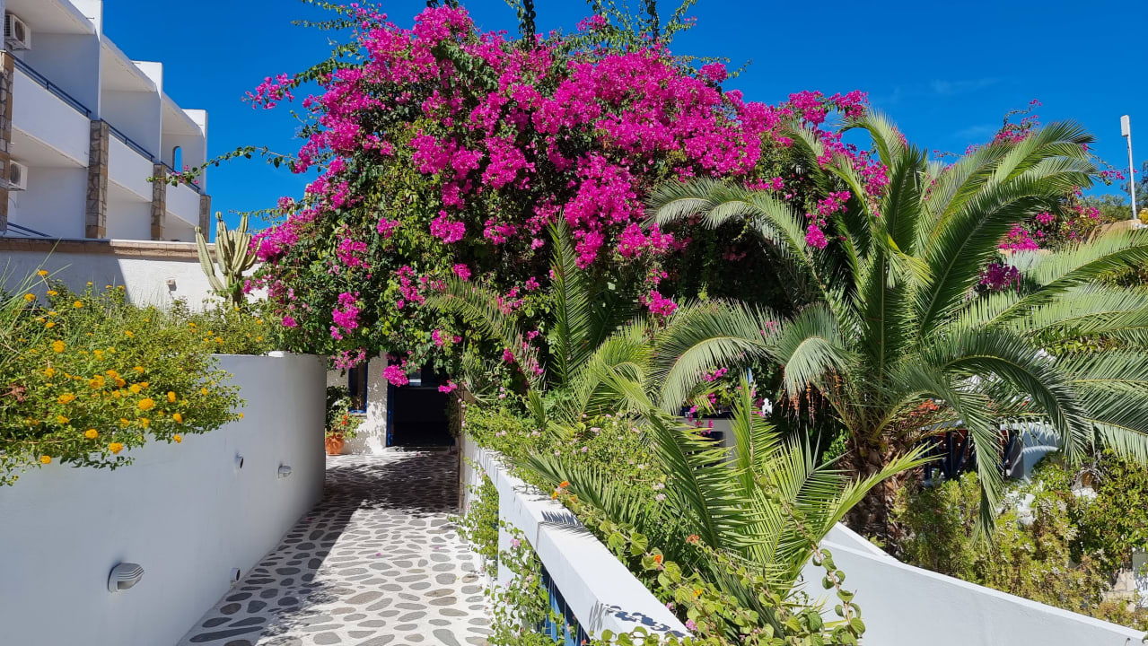 Garten Ekaterini Hotel