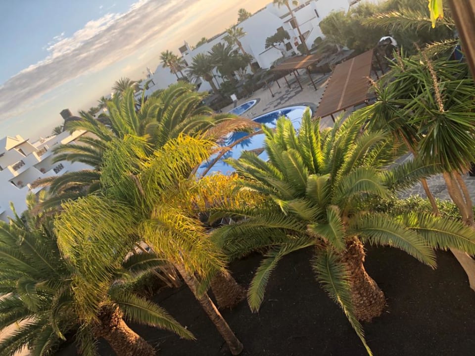 Pool allsun App.-Hotel Albatros