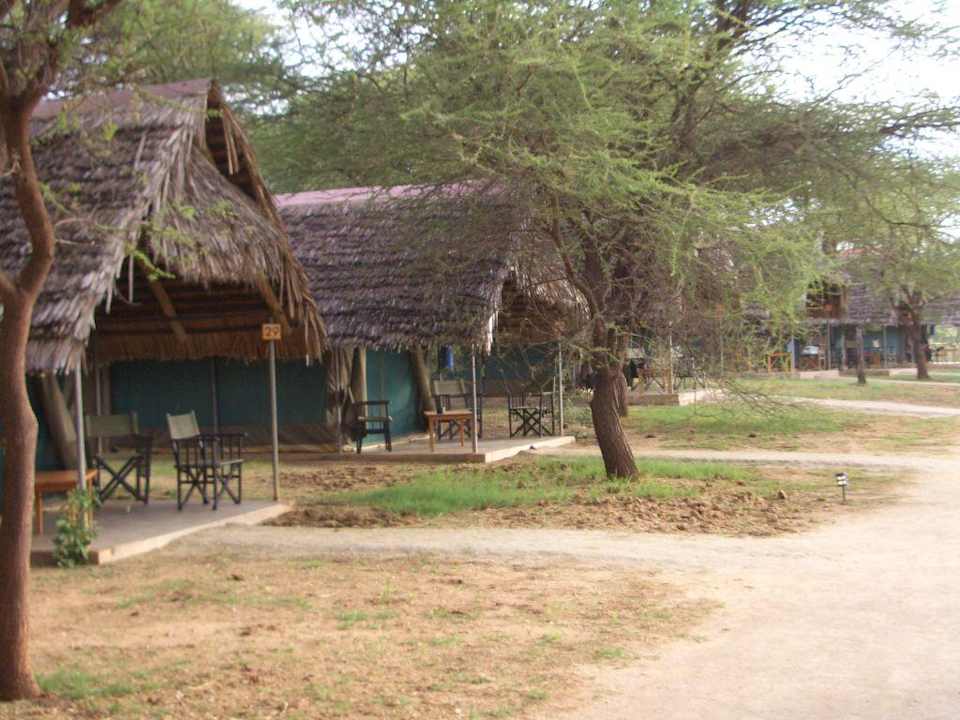 Blick auf die Zelte Tarangire Safari Lodge