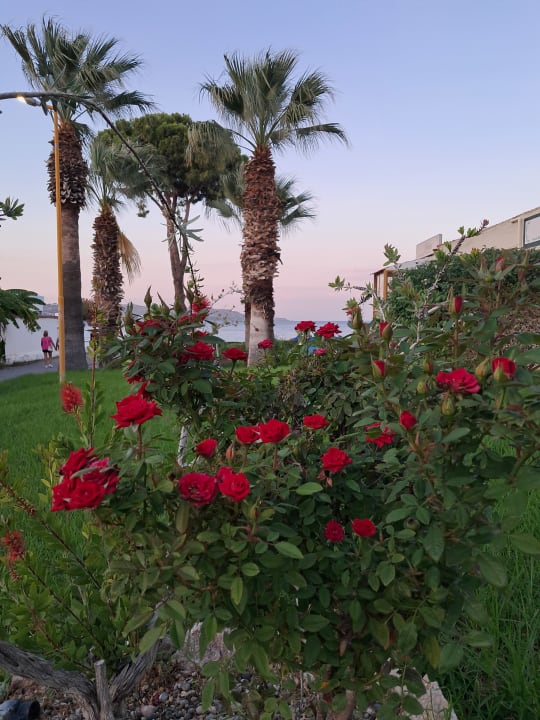 Außenansicht Pension Victoria