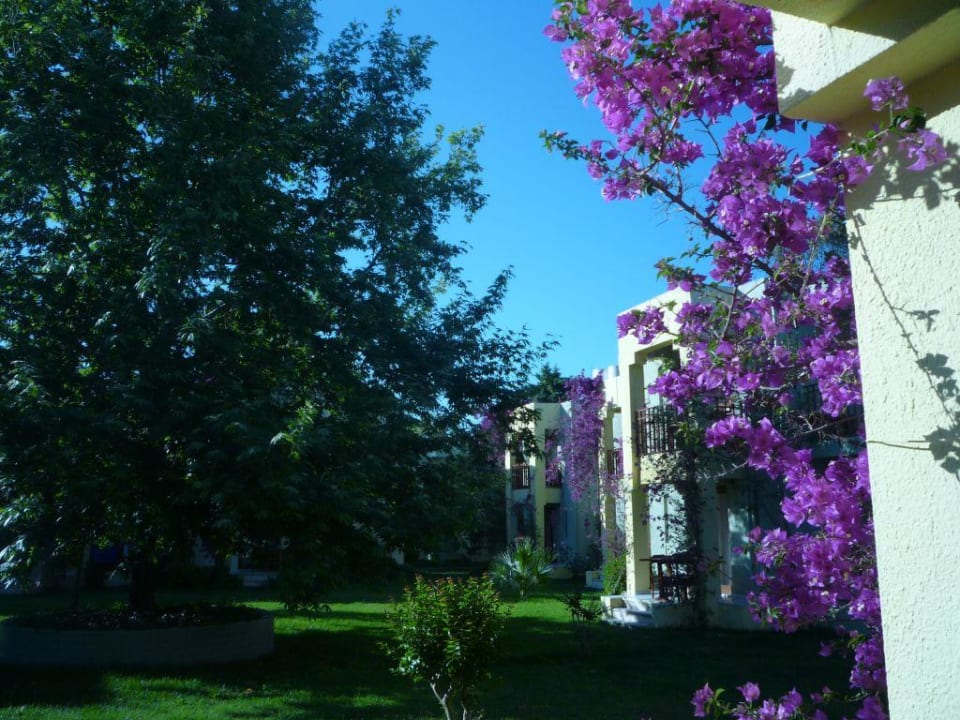 Gartenanlage VONRESORT Golden Beach