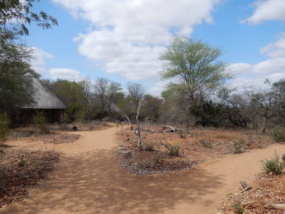 Blick auf die Häuser Motswari Private Game Reserve & Geiger's Camp
