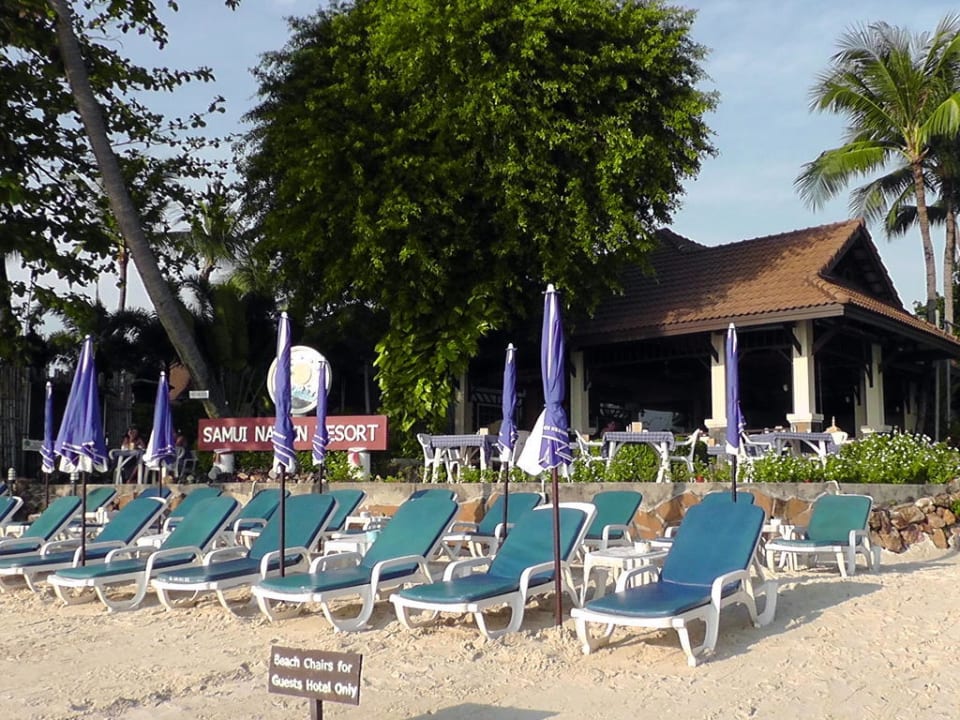 Ruhe vor dem Ansturm Samui Natien Resort