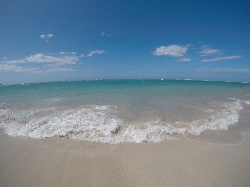 Schönes klares Wasser Viva Heavens by Wyndham - All Inclusive Resort