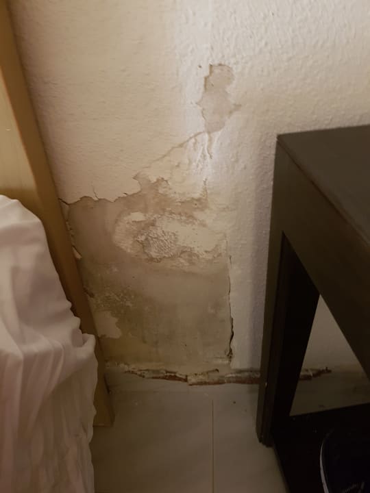 Zimmer SBH Hotel Taro Beach