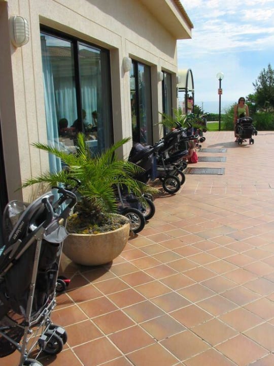 Der Speisesaal blau punta reina