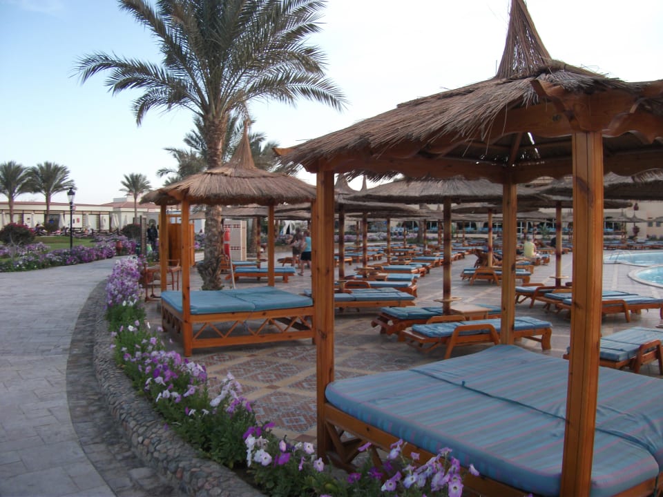 Genug Liegestühle... Pickalbatros Dana Beach Resort - Hurghada