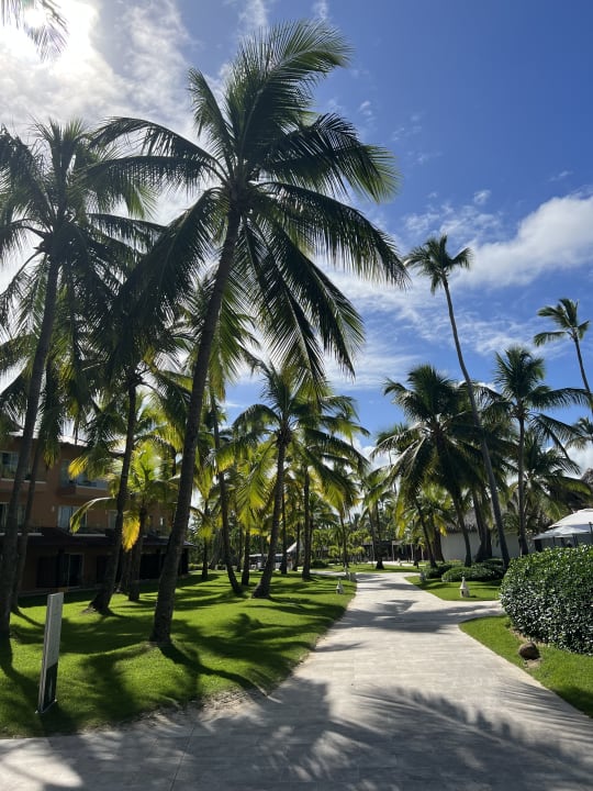 Gartenanlage Caribe Deluxe Princess