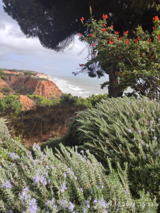 Ausblick PortoBay Falésia