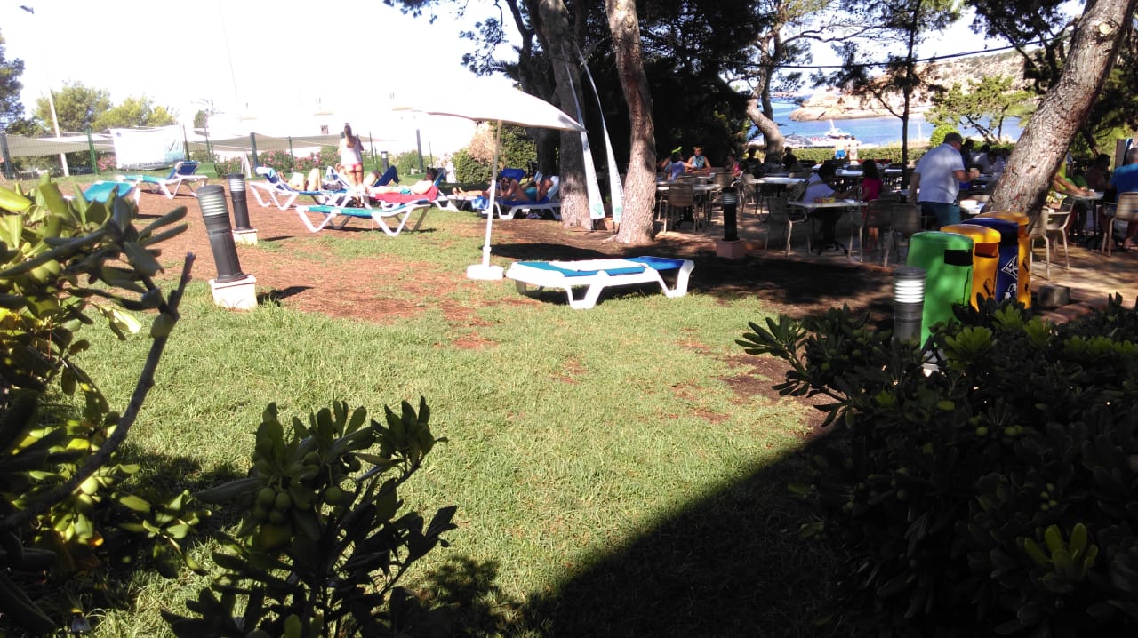 Wenn der Poolbereich voll ist ... Insotel Club Tarida Playa