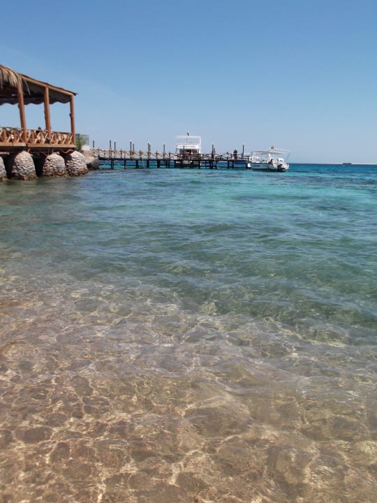 Direkt vor dem Hotel Bella Vista Resort Hurghada