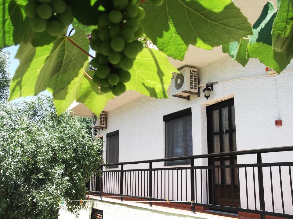 Vorne Zimmer Gorgona Rooms