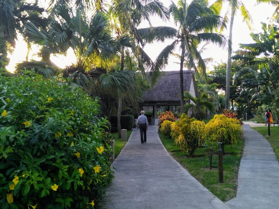 Gartenanlage Solana Beach Mauritius