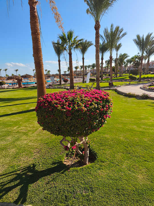 Außenansicht Three Corners Sea Beach Resort