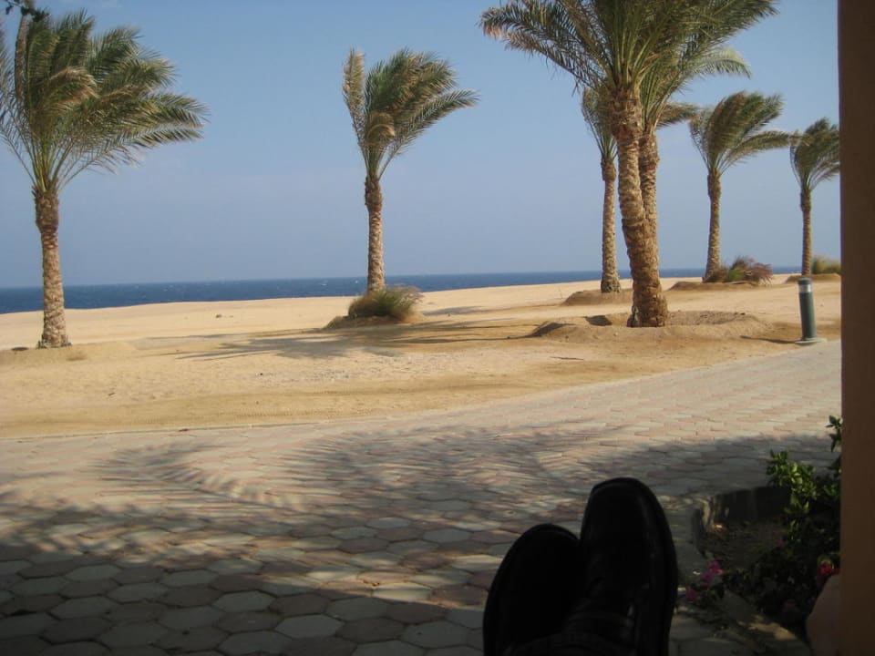 Meerblick Steigenberger Coraya Beach - Adults only