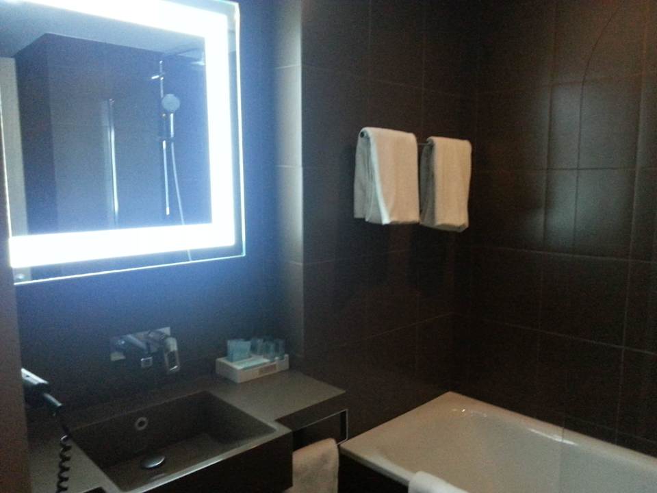 Bad Hotel Novotel Sheremetyevo