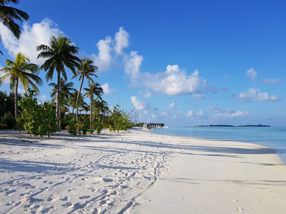 Strand OZEN LIFE MAADHOO
