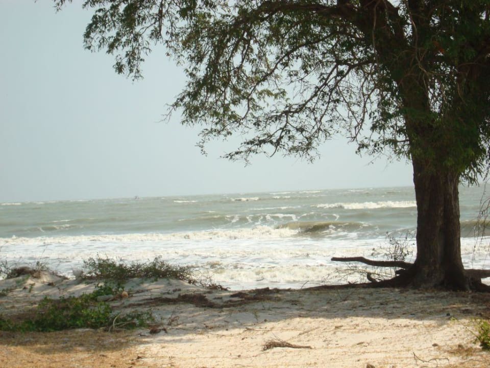 Strand Hotel The Privacy Beach Resort & Spa