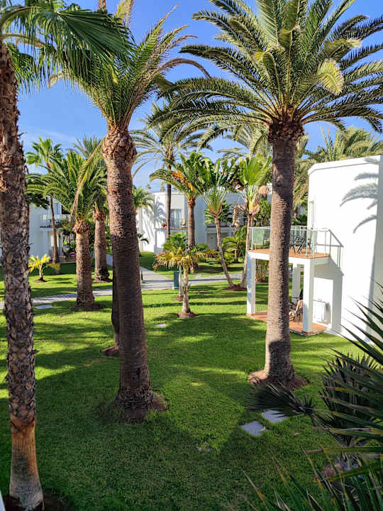 Gartenanlage Hotel Riu Palace Meloneras