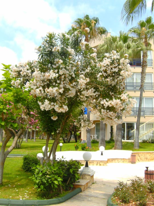 Garten Labranda Alantur Resort