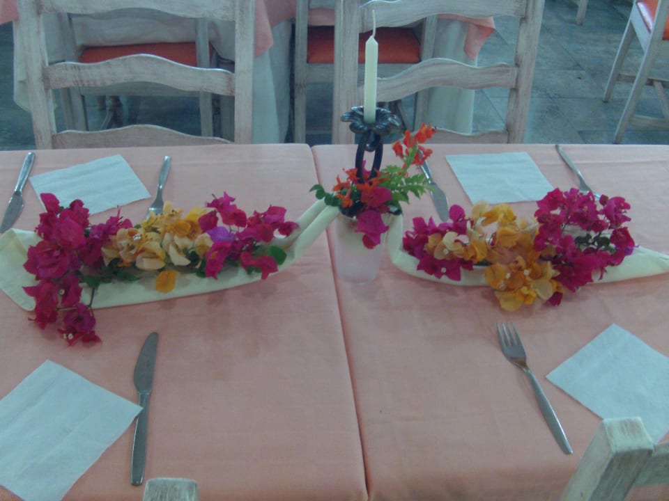 Letzter Gruß vor der Abreise Houda Golf & Beach Club