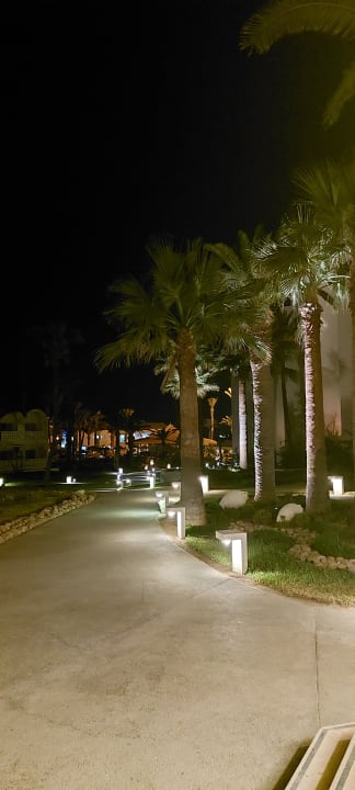 Gartenanlage Hotel Marhaba Club