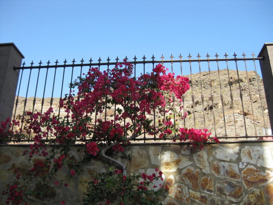 Beaugaville Hotel Cordial Mogán Playa