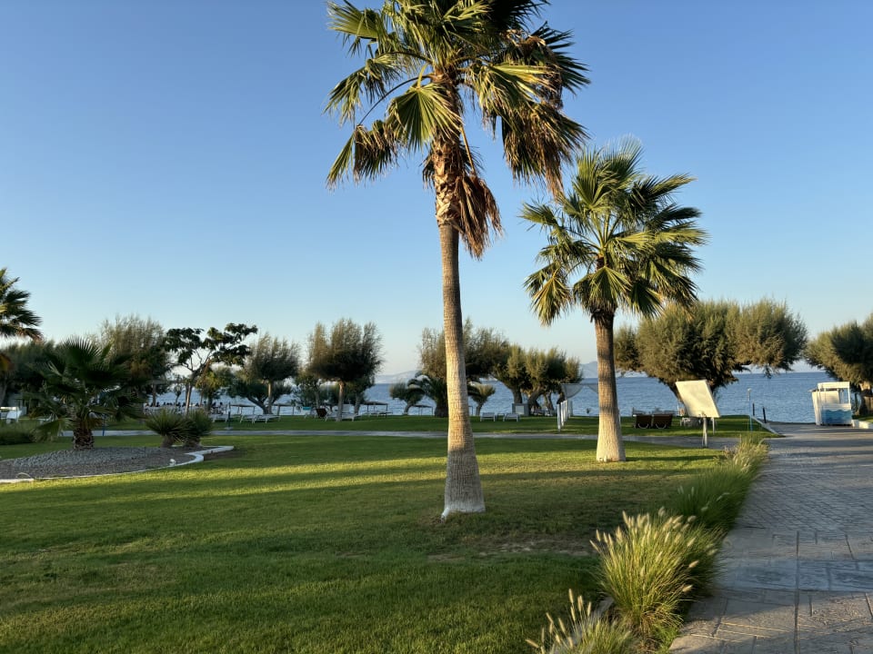 Gartenanlage TUI BLUE Oceanis Beach and Spa Resort