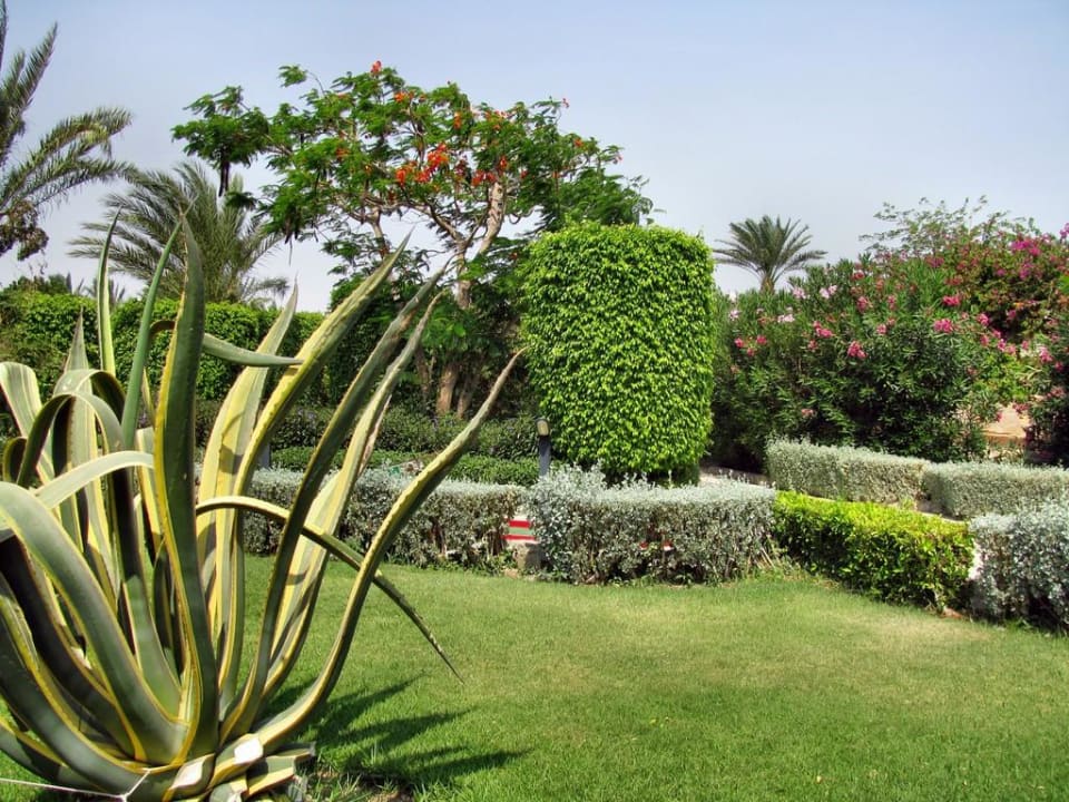 Idylle Golden Beach Resort