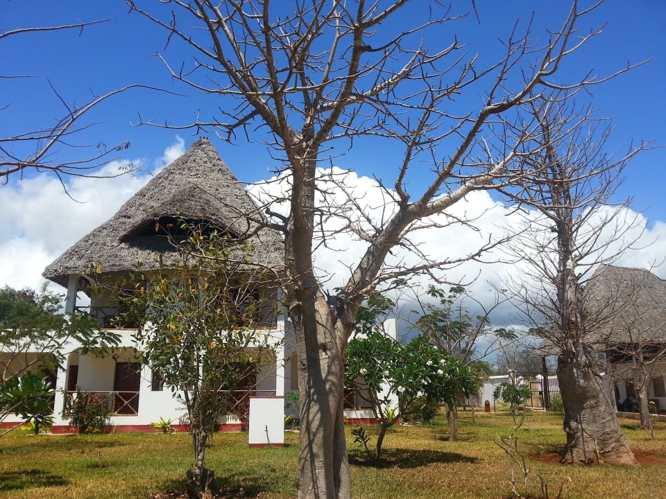 Bungalows Jaz Adonia Beach Resort