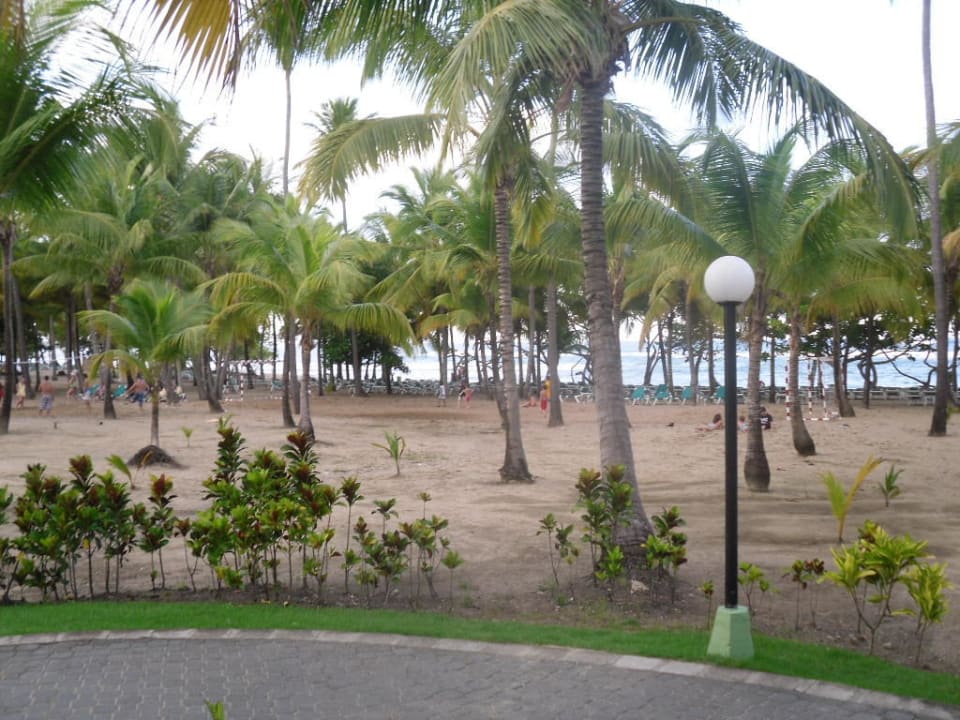 Blick in Richtung Strand Playabachata Hotel