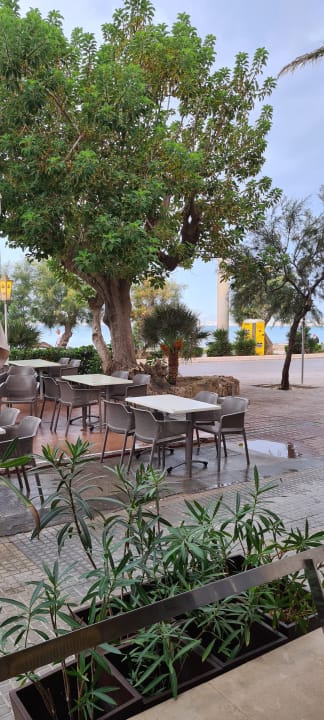 Gastro allsun Hotel Marena Beach