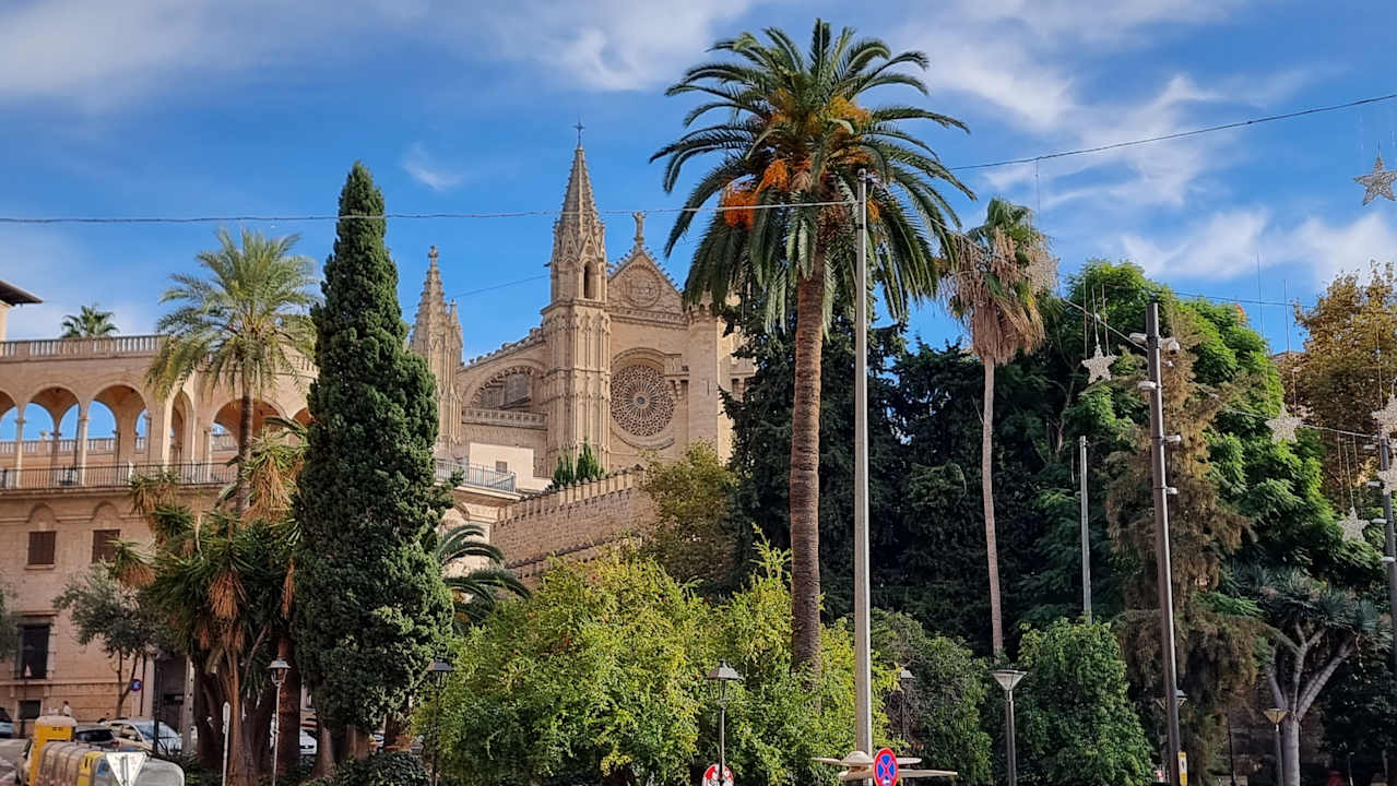 Sonstiges Hotel Riu San Francisco - Adults only