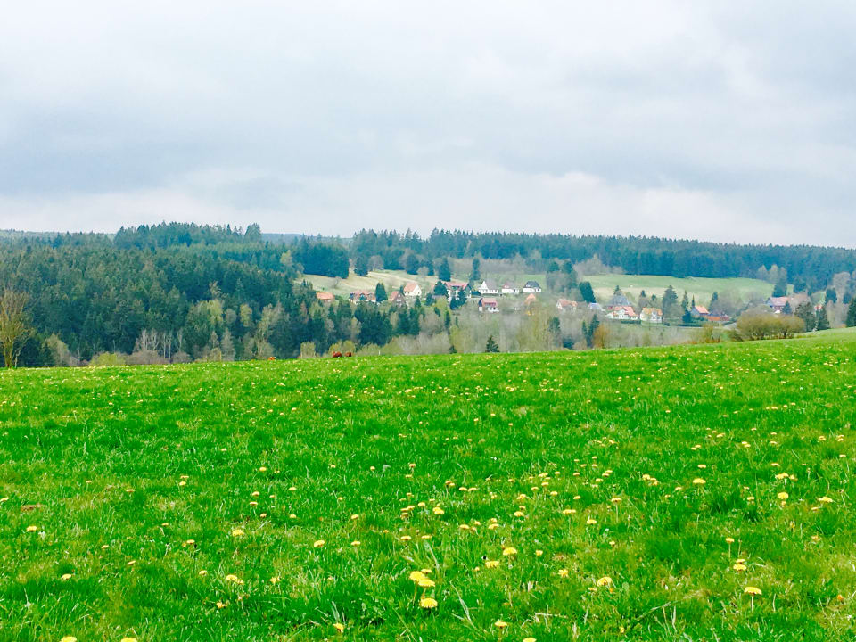 Ausblick waldhotel AUSZEIT