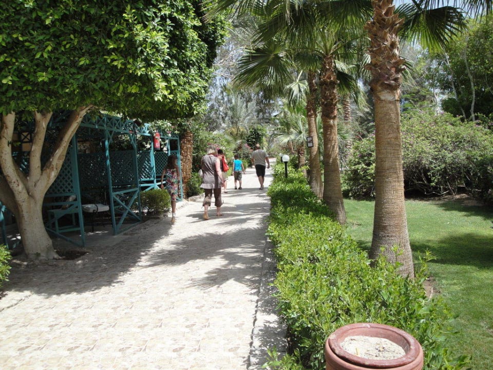 Hauptweg Giftun Azur Resort