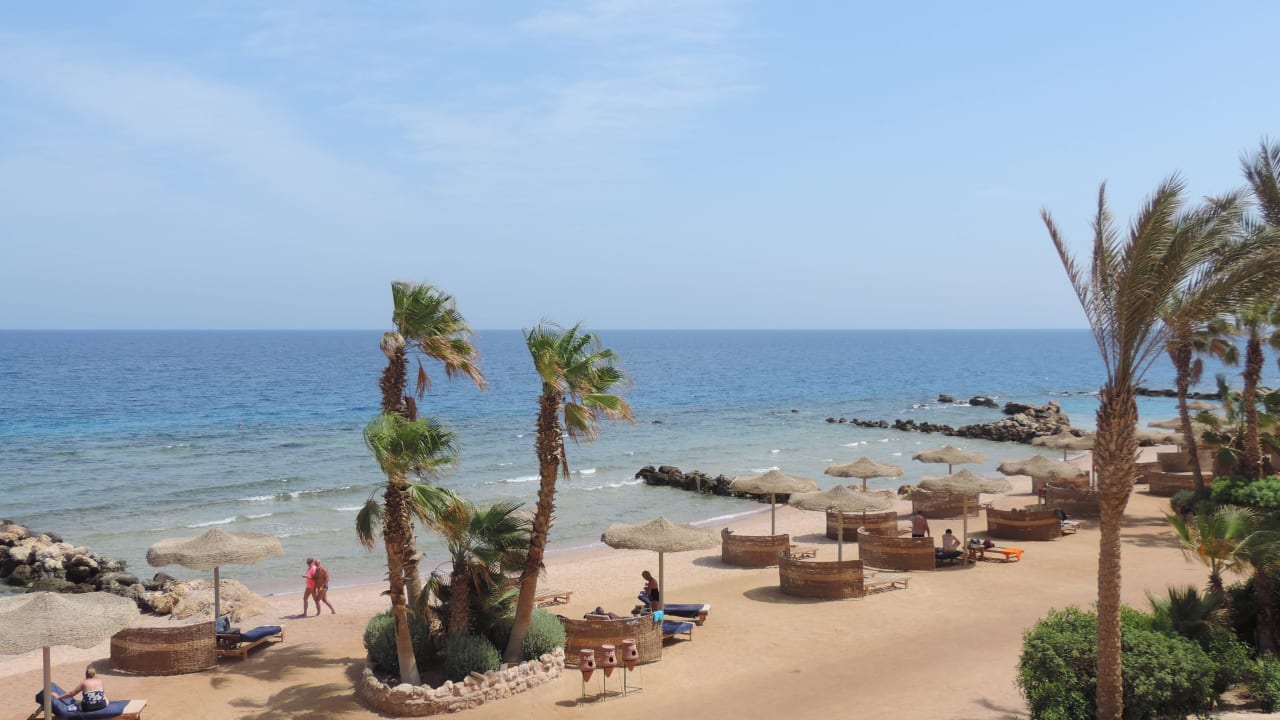 Einfach traumhaft Pickalbatros Citadel Resort