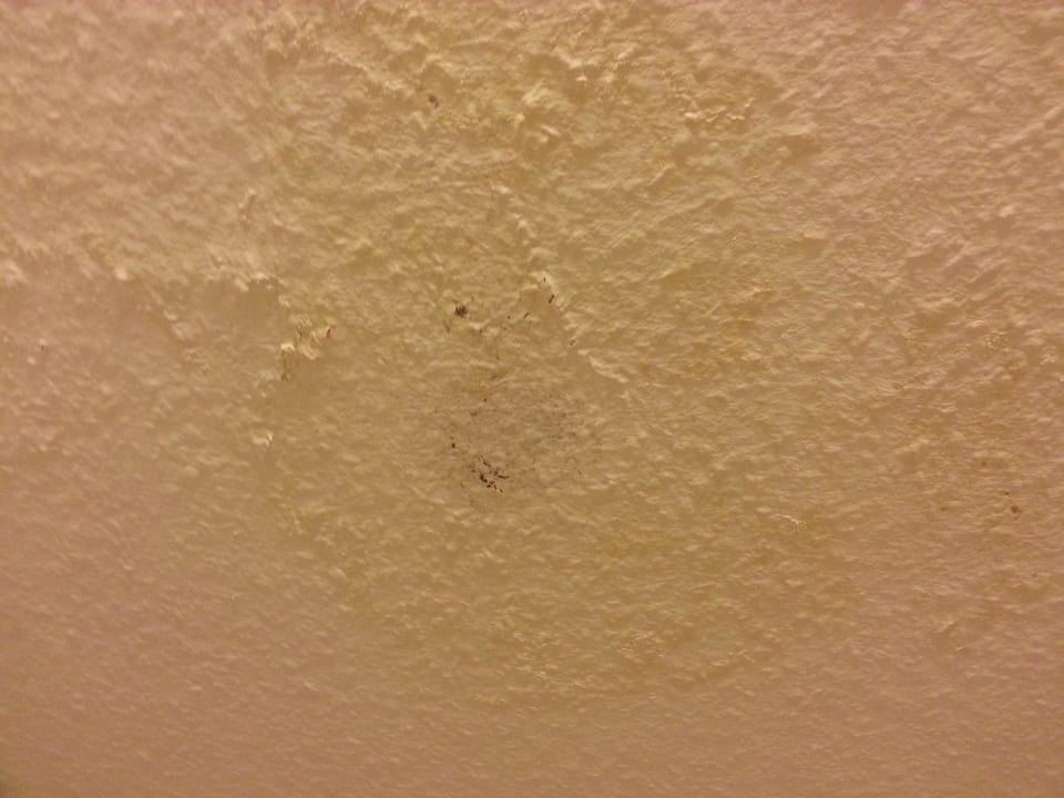 Schimel an der Decke im Bad Hotel Harlesiel