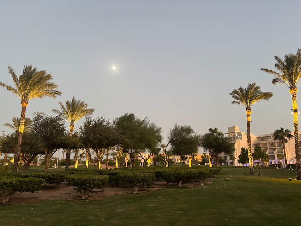 Ausblick Steigenberger Aqua Magic