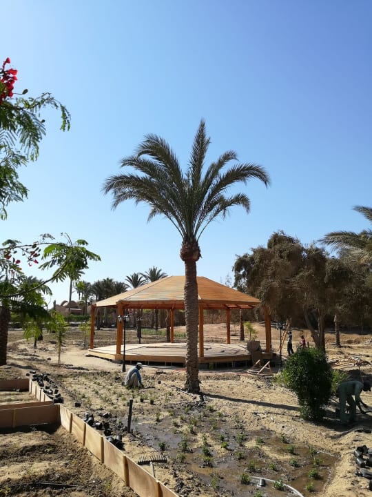 Gartenanlage Mövenpick Resort El Quseir