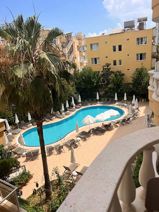 Pool Citrus Plaza Hotel