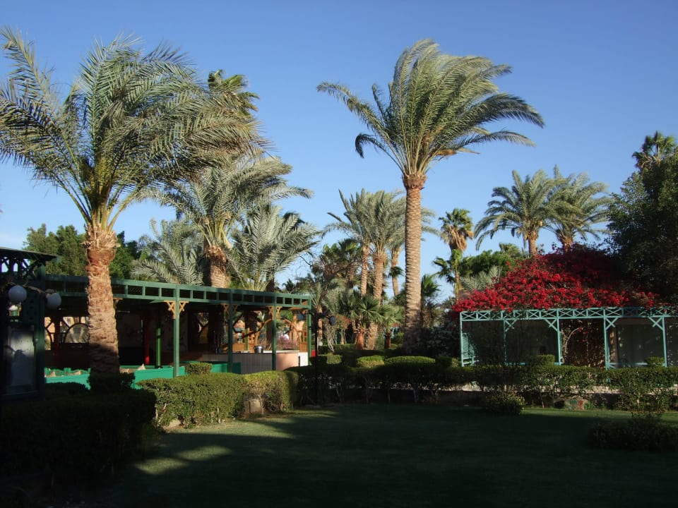 Anlage Giftun Azur Resort